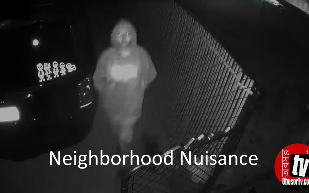 Neighborhood Nuisance