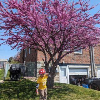 #springcolors